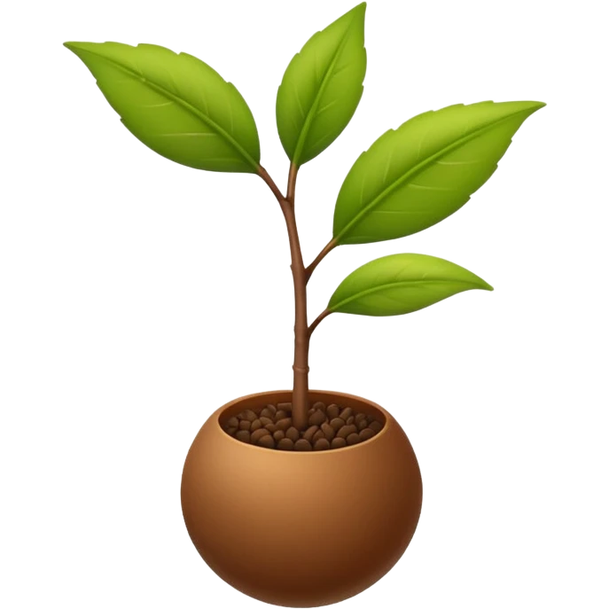 ein kleiner samenkorn, aus dem ein grüner zweig wächst emoji