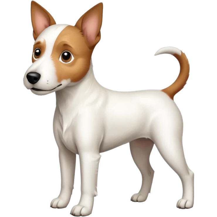 a full body large white parson russell terrier looking dog the size of a kelpie with light brown big ears and a light brown patch on one eye and a large snout emoji