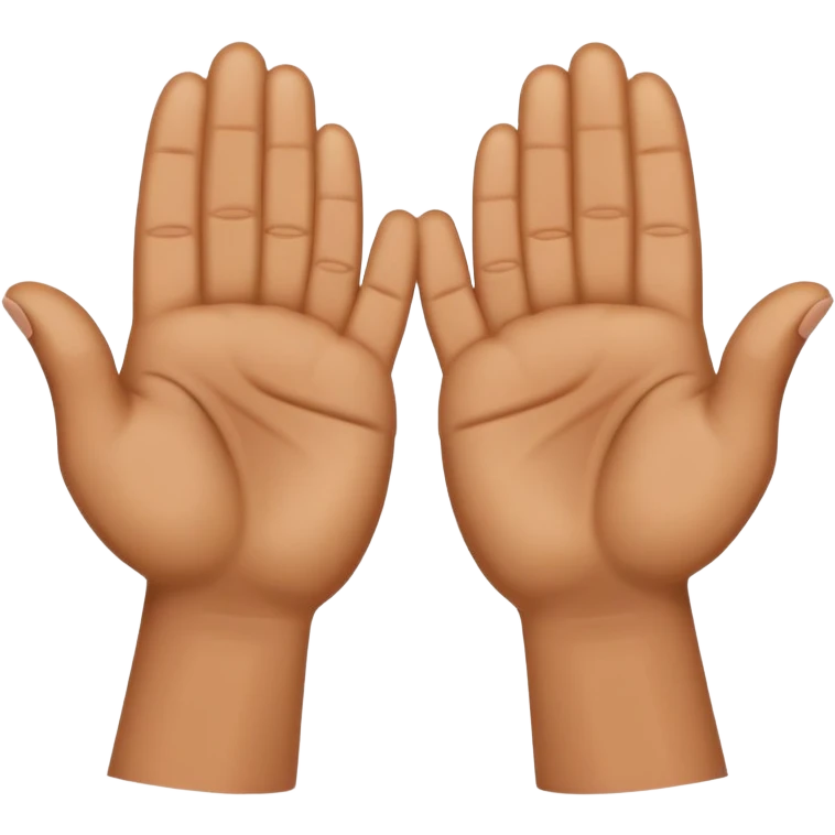 hands in a praying gesture emoji