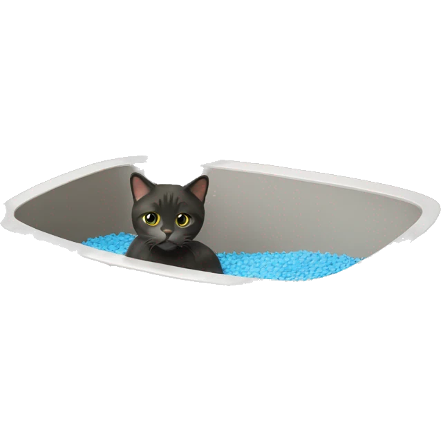 Cat litter box emoji