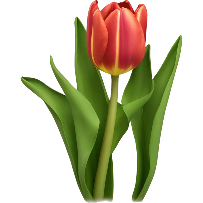 Tulipas brancas  emoji