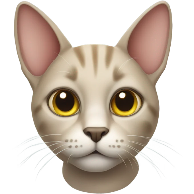 A cat with a really big head emoji