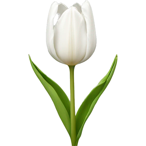 tulip white emoji