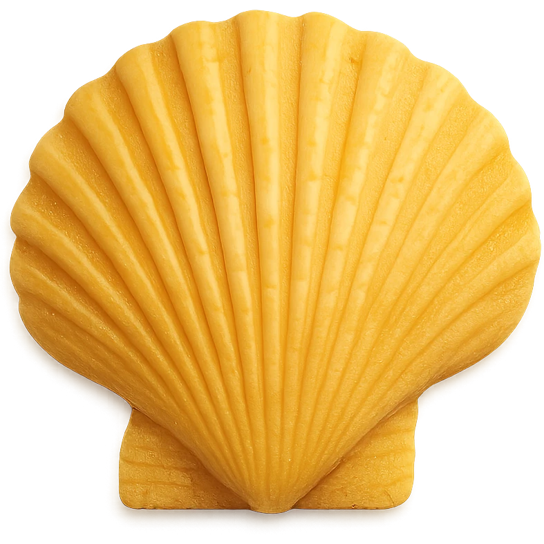 yellow seashell, remove background emoji