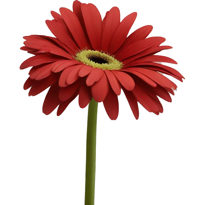 Gerbera roja emoji