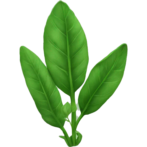 Sorrel emoji