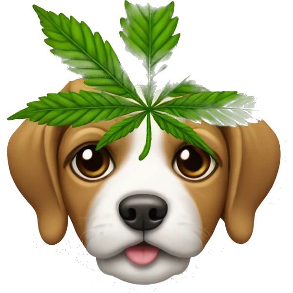 cachorro cannabis emoji