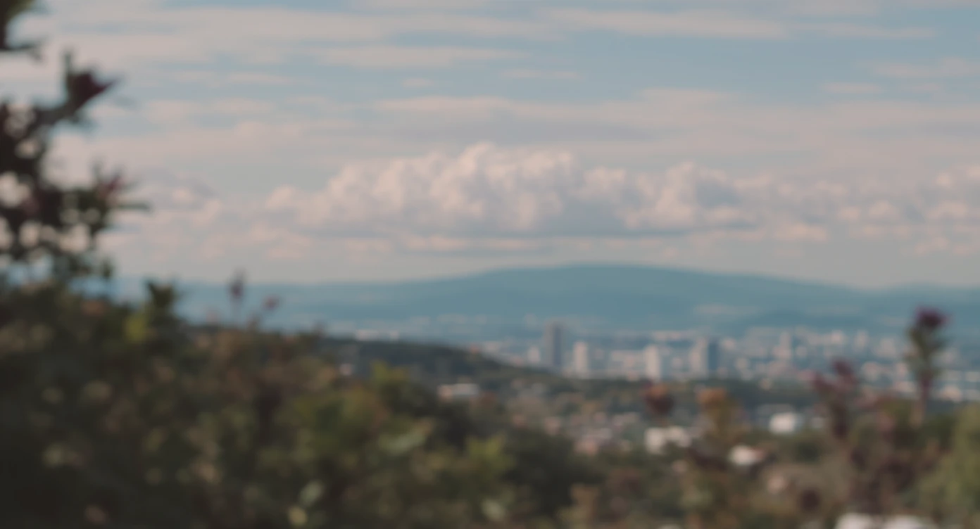 A cinemaatic still of a city, blurred plants in the foreground, shale fly above city sky, rolling hills in the background, cinematic depth of field, layered composition, natural lighting emoji