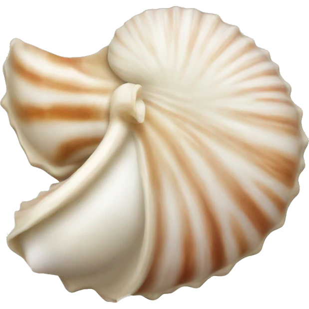 Seashell  emoji