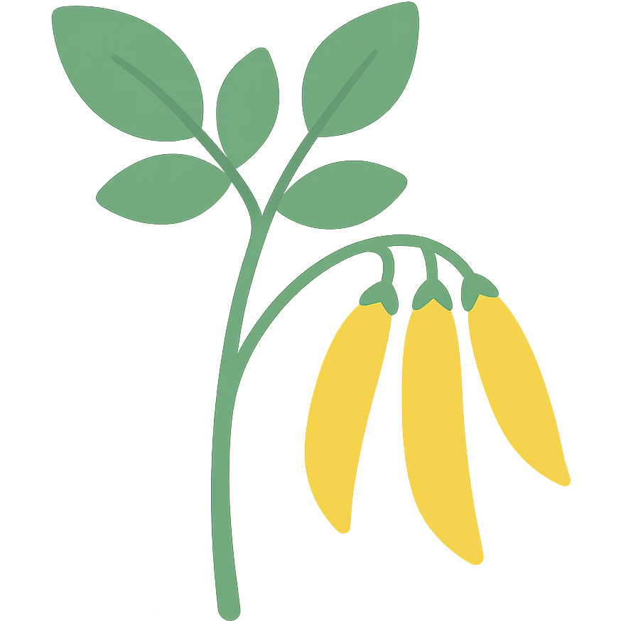 colored icon of a pigeonpea plant with green leaves and yellow pods emoji