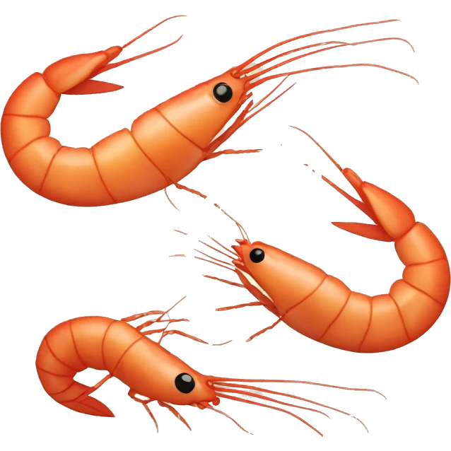 shrimp emoji