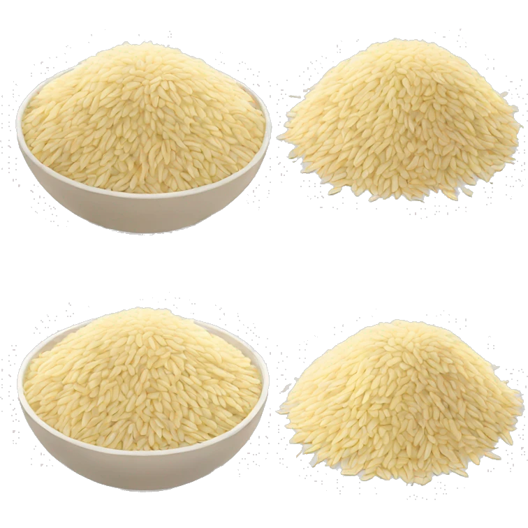 PAKISTANI RICE emoji