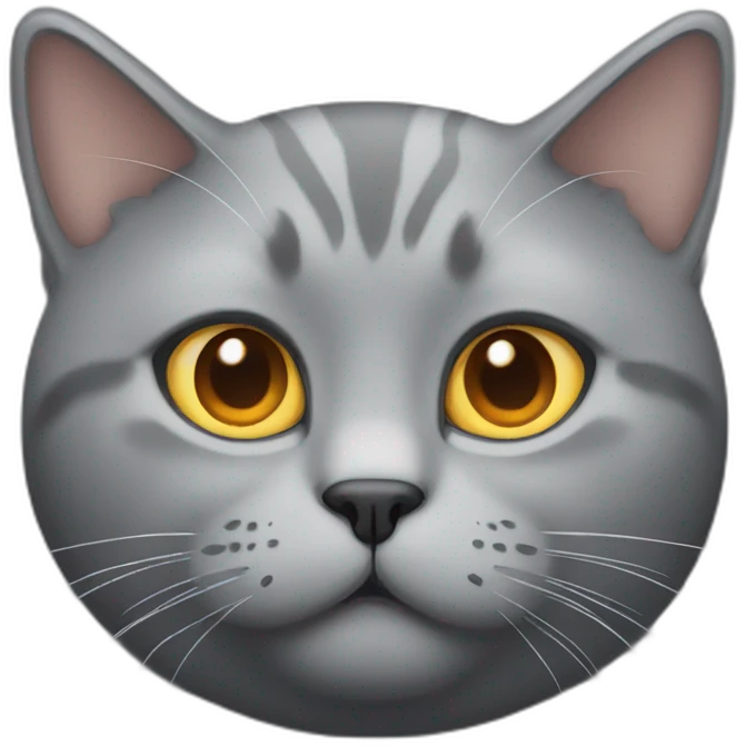 fat fully grey cat with amber eyes emoji