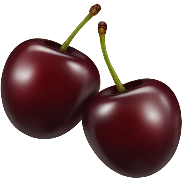 two burgundy cherries on dark green single stem emoji