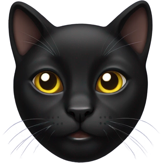 Black cat emoji