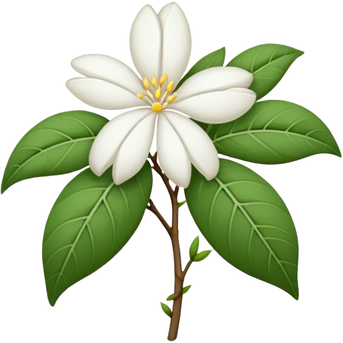 wilted indian jasmine without leaves in emoji format emoji