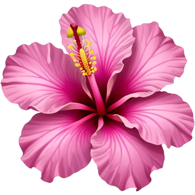 pink hibiscus flower  emoji
