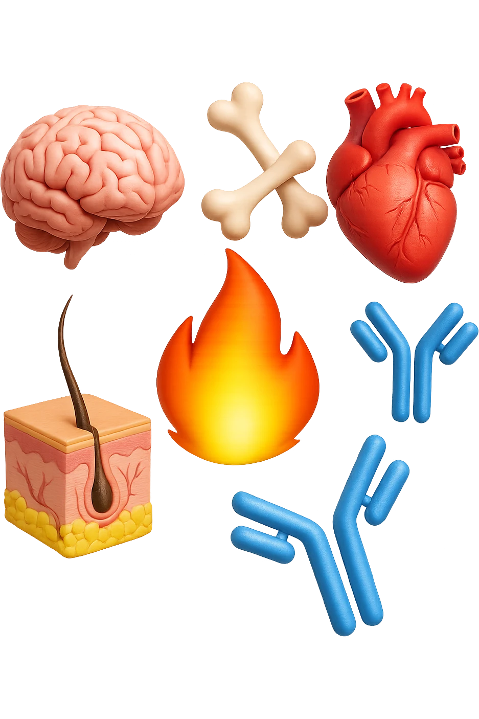 EMOJI STILE IPHONE 3D DI cervello, ossa, cuore, porzione di epidermide e cellule di anticorpi che girano in tondo, al centro di questi elementi c'è una fiamma 3d  FALLO MOLTO REALISTICO IN 3D emoji