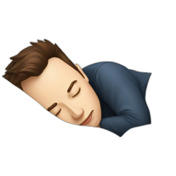 Elon musk sleeping emoji