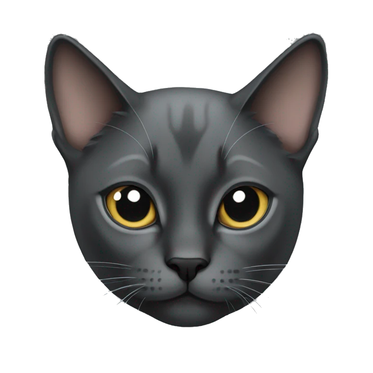 dark gray cat with siamese cat emoji
