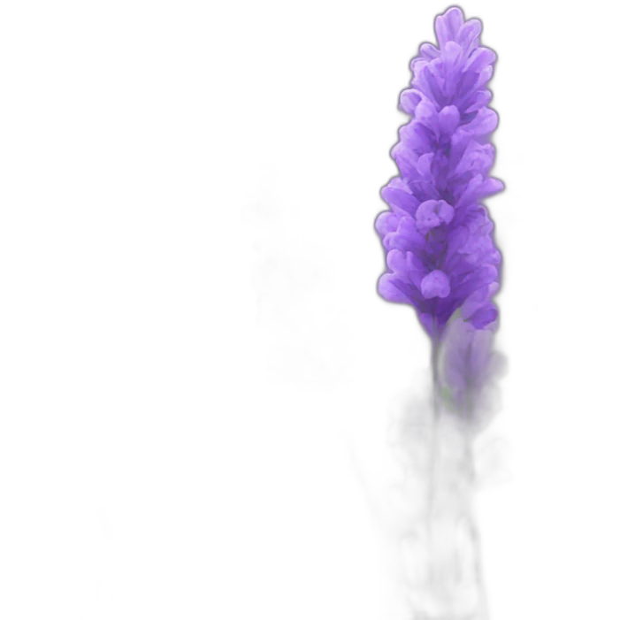 Lavender flowers emoji