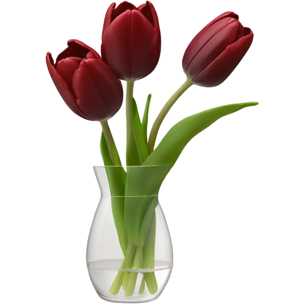 Dark red tulips stem in clear vase emoji