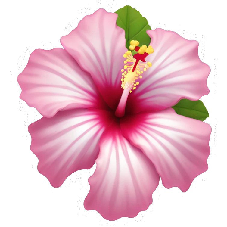 Hibiscus flower in pink and white  emoji