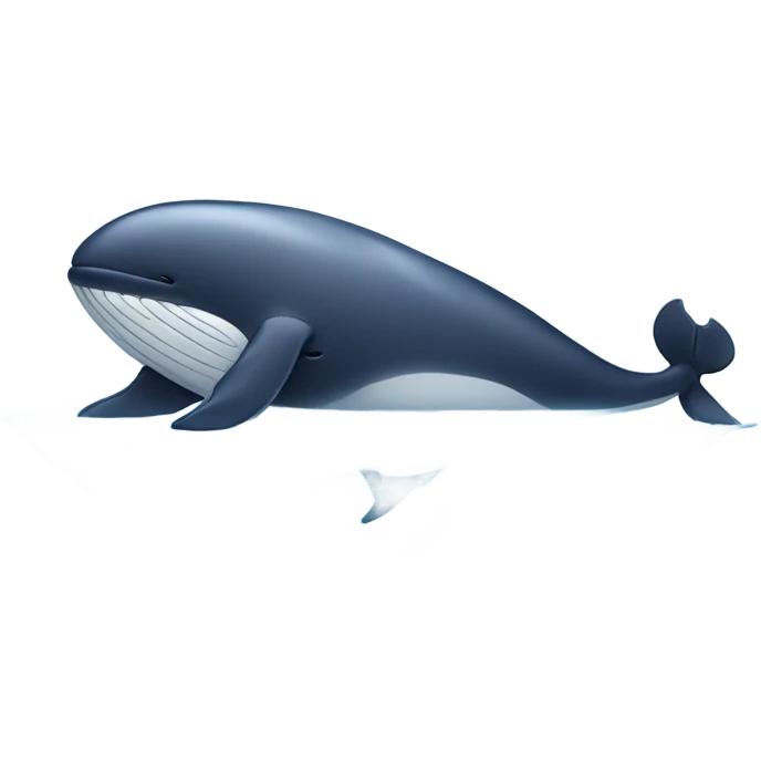 Whale massaging a cat  emoji