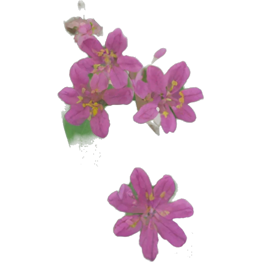 carollia perspicilata emoji