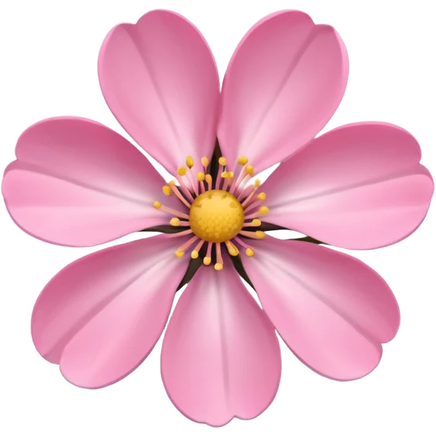 pink girly framed photo of a blossom emoji