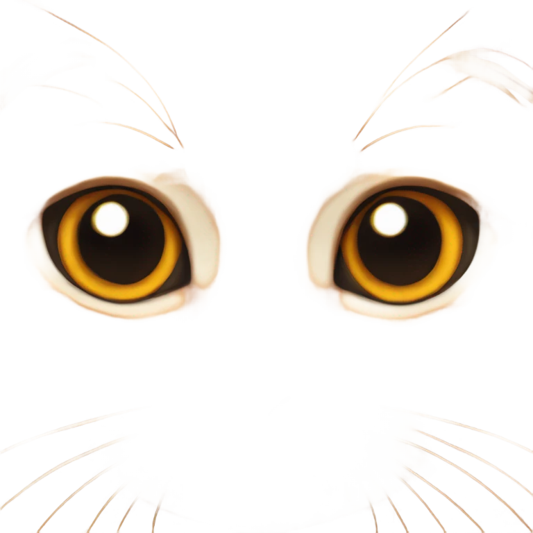 Orange Scottish fold cat emoji