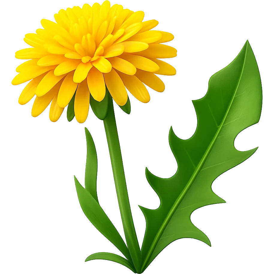 Create a 3D illustration of a dandelion in the style of iOS Apple emoji, featuring a voluminous yellow flower and a green leaf, on a transparent background. The style should mimic the Apple emoji look with smooth shading and vibrant colors. emoji