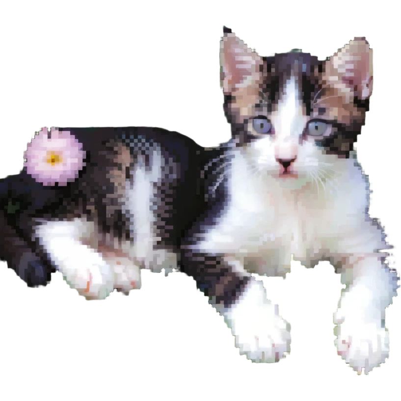 Kitten lying in flowers emoji