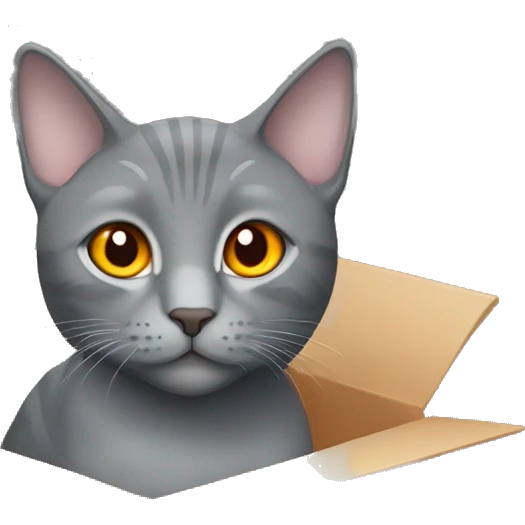 Grey cat orange eyes in a box  emoji