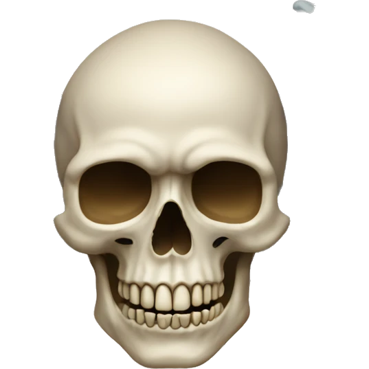 scull with wings emoji