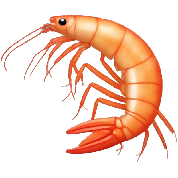 Shrimp  emoji