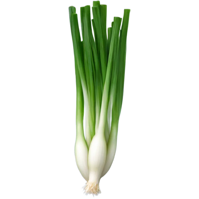Spring onion emoji