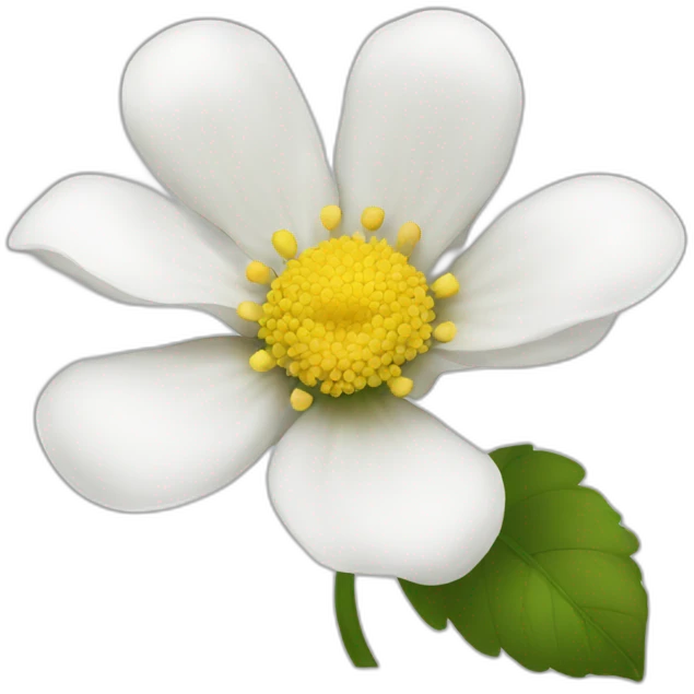 ‏Flower white  emoji