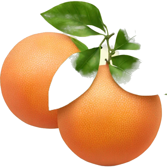 Two Grapefruit with leaves emoji