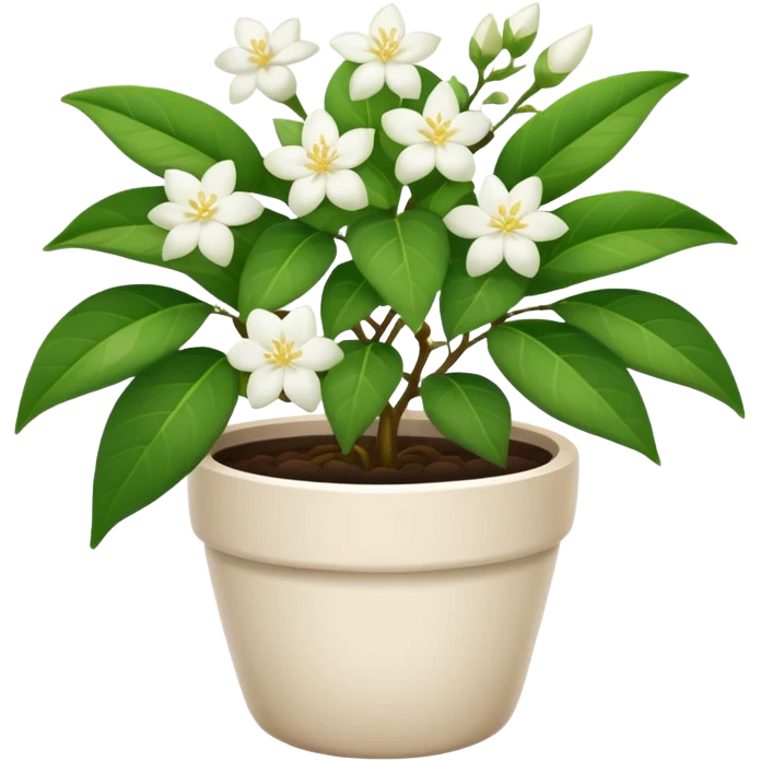 jasmine plant in pot emoji