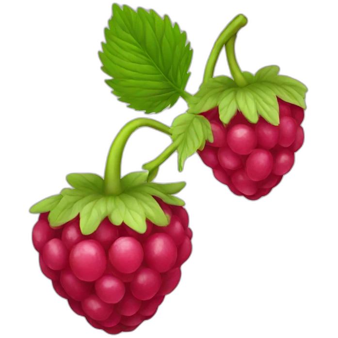 Raspberry  emoji