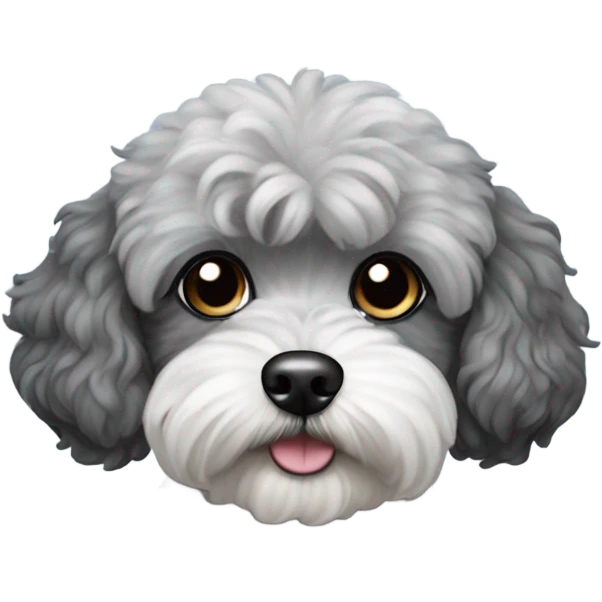 Black and grey Maltipoo dog  emoji