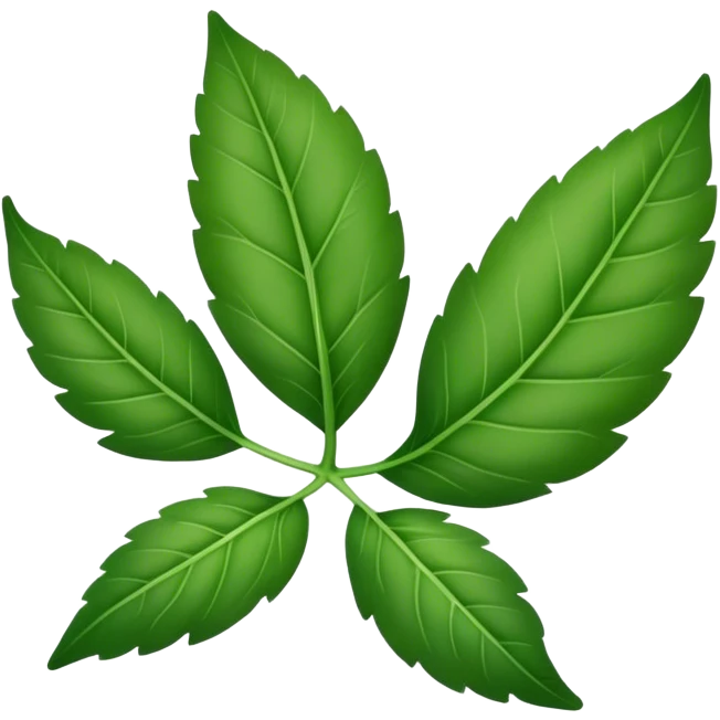 thymian leaf emoji