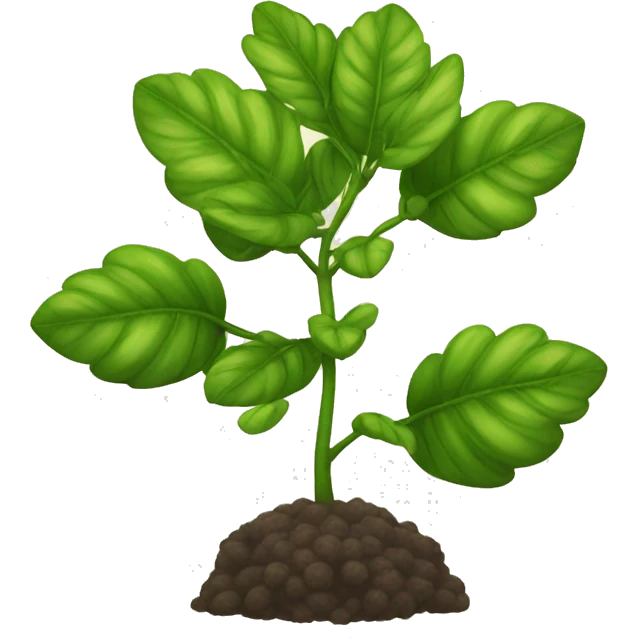 Cupuaçu fruit plant emoji