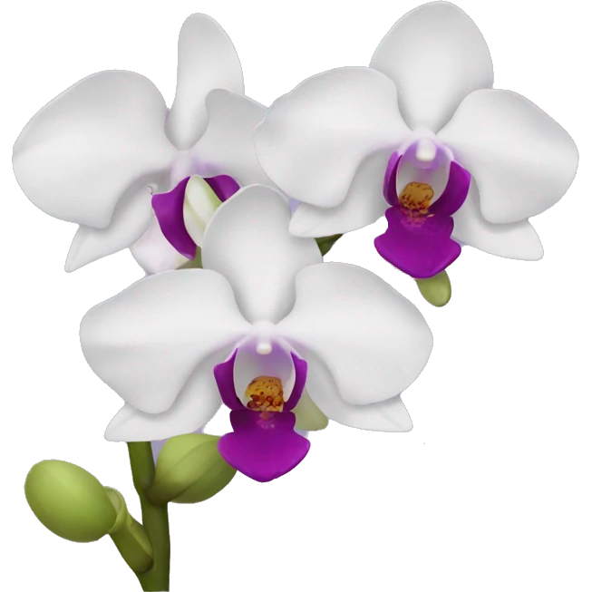 Orchid emoji