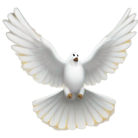 Holy Spirit  emoji