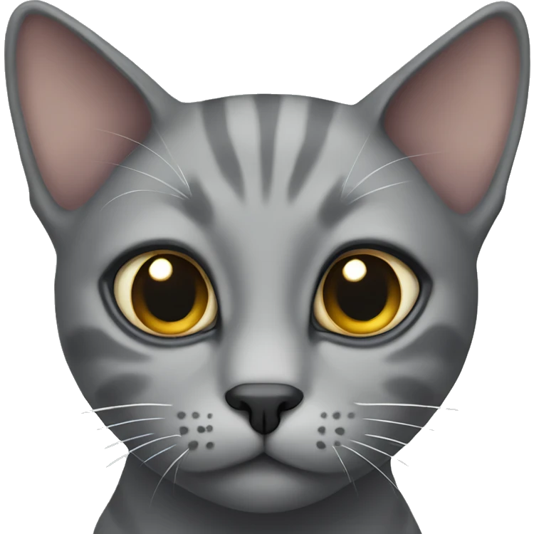 Gray cat with one eye emoji