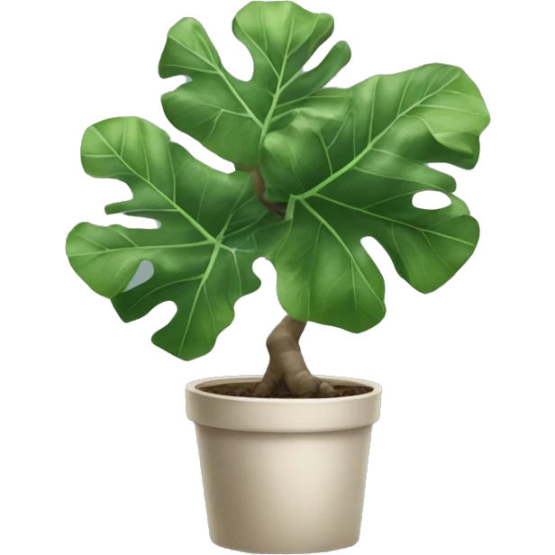 Fiddle leaf fig tree emoji