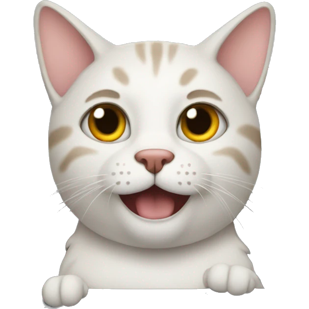 Cat in the car emoji