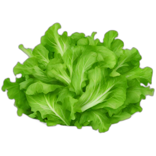 Green salad emoji